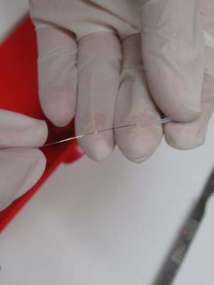 [Eletro3ks250] Replacement Platinum Wire 0.2mm, 50cm